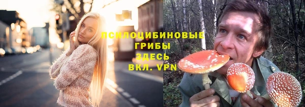 хмурый Новодвинск