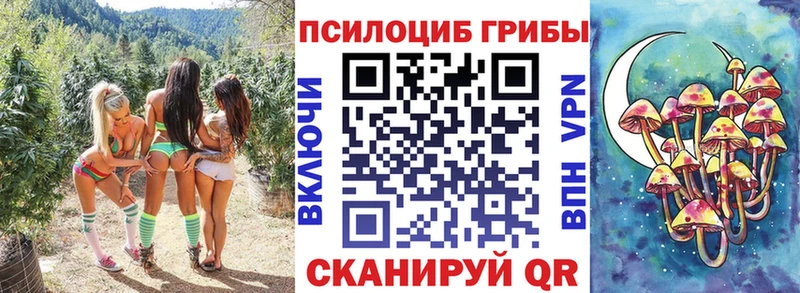 Галлюциногенные грибы Magic Shrooms Купить где Усмань